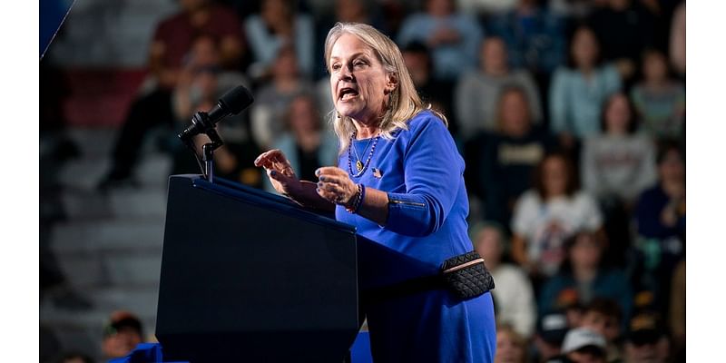 Susan Wild concedes key House race to GOP challenger in Pennsylvania