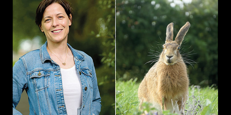 After Chloe Dalton rescued this orphaned hare, she found her life transformed by the most misunderstood of wild creatures