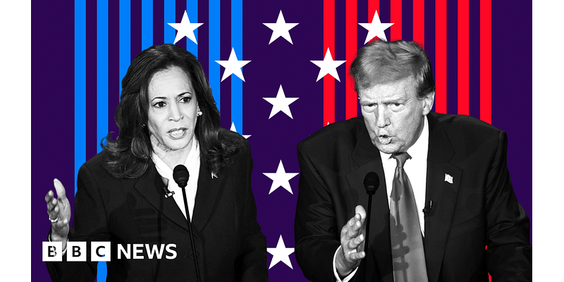 'Left-wing lunatic' and 'a disgrace': How Trump and Harris describe each other