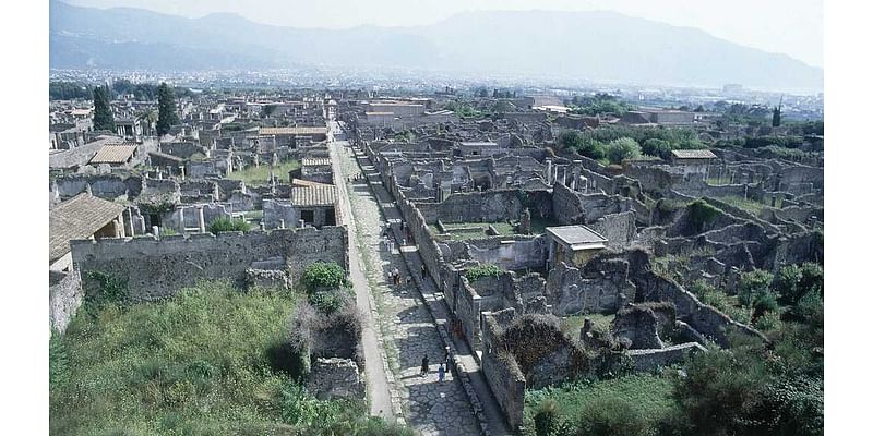 New DNA evidence rewrites long-told stories of people in ancient Pompeii