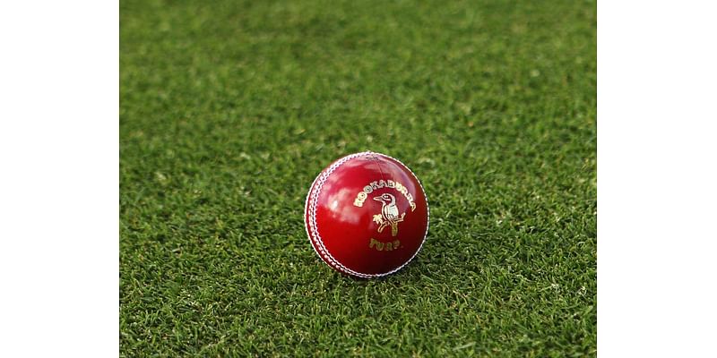 Ireland vs South Africa LIVE: South Africa in Ireland (UAE) 2024 cricket updates today