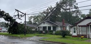 Georgia farmers need help following Tropical Storm Debby; see what leaders are doing to bring relief