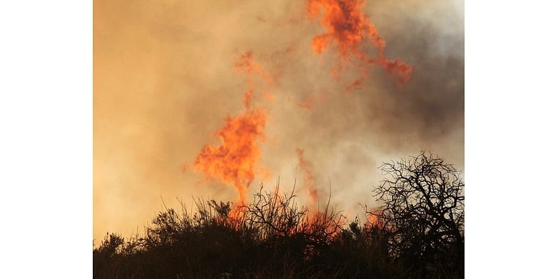 Dangerous Fire Conditions Spark Red Flag Warning For NoVA