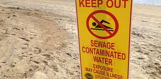 Be Alert: Water Contact Closures, Advisories Listed for SD County Beaches