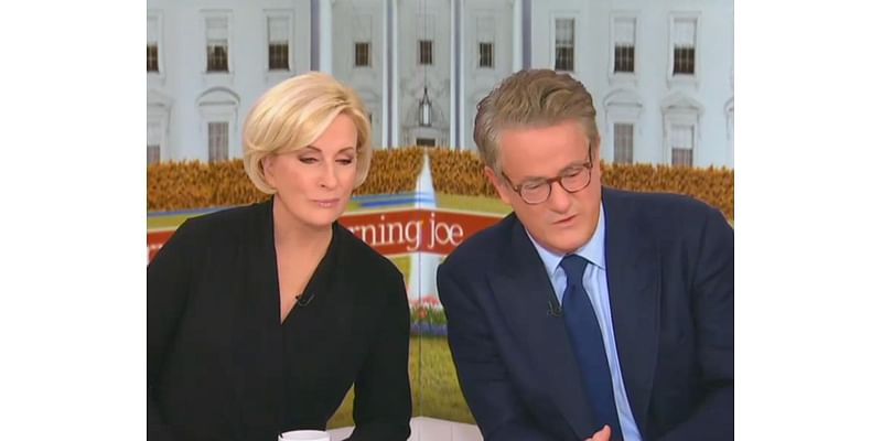 ‘Morning Joe’ defends Trump meeting claiming ‘massive disconnect’ between ‘social media and the real world’