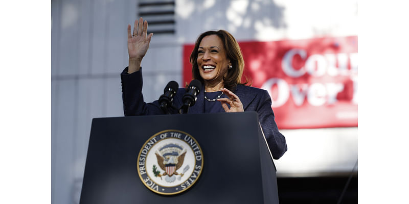 Kamala Harris' Fox News Interview Wins Over Swing Voters: 'In Her Element'