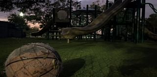 St. Pete parks damaged, nearly a dozen playgrounds remain closed after hurricanes