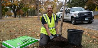 Tree program nurtures St. Paul’s urban forest, and young people learning arborist skills