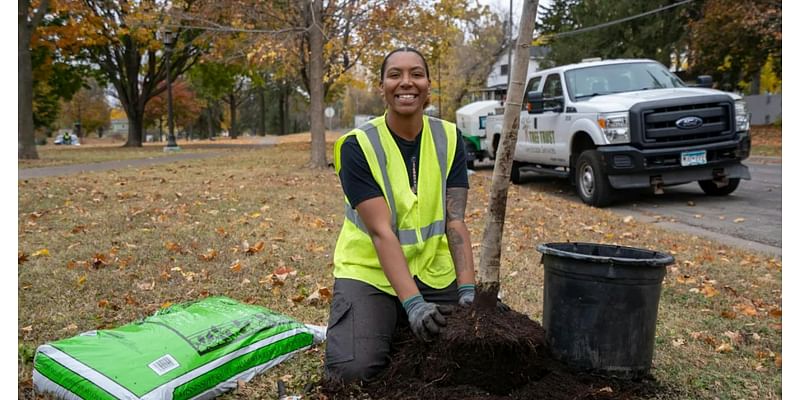 Tree program nurtures St. Paul’s urban forest, and young people learning arborist skills