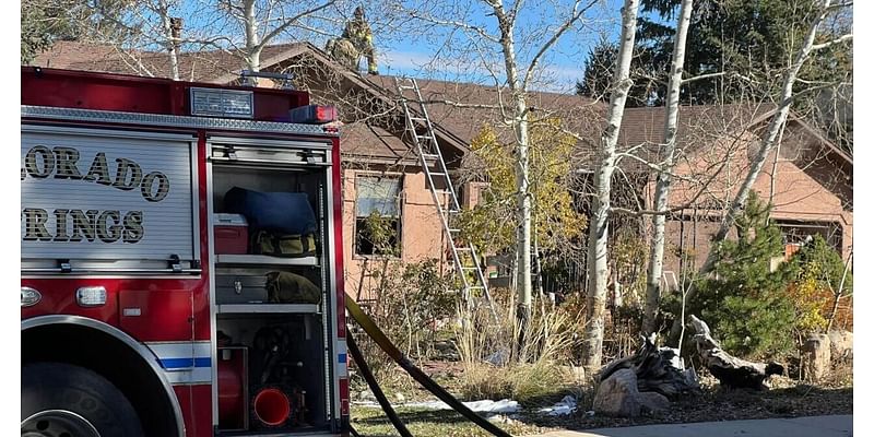 House fire near Palmer Park leaves five dogs dead