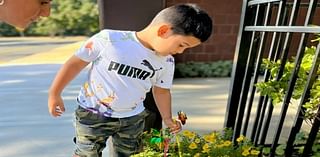 Students Honor Peace Day With Pinwheels For Peace In Manchester