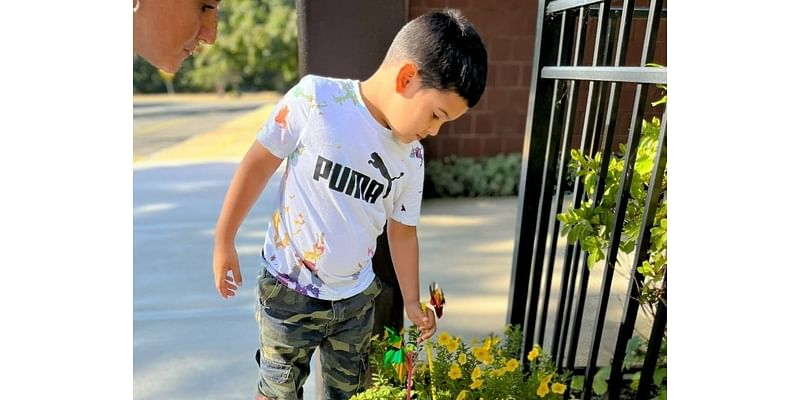 Students Honor Peace Day With Pinwheels For Peace In Manchester