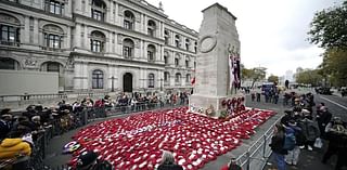 Students plan pro-Palestine protests on Remembrance Day