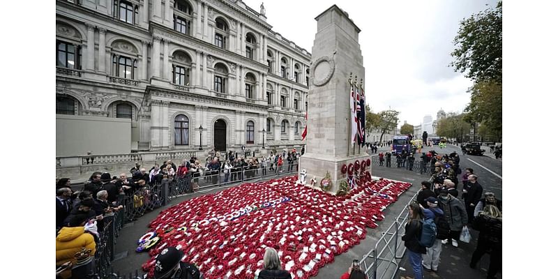 Students plan pro-Palestine protests on Remembrance Day