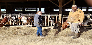 ACE of the county: Cove view farms honored