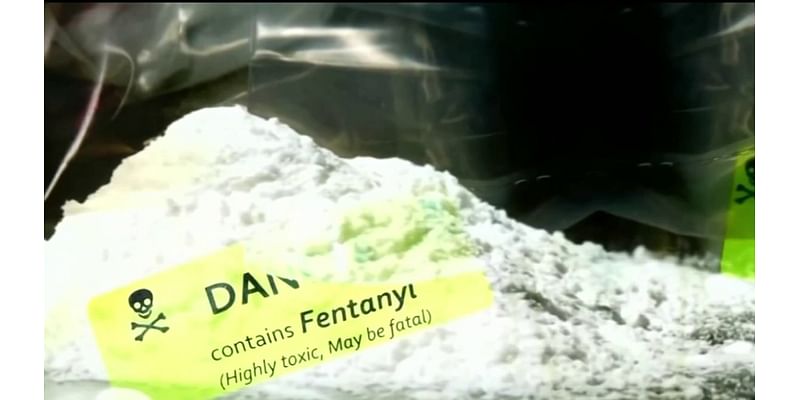 Fentanyl education classes are California's latest tool to help fight the deadly crisis