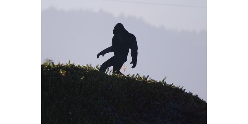 Bigfoot Spotted In Monroe? Midnight Howls 'Not A Bobcat'