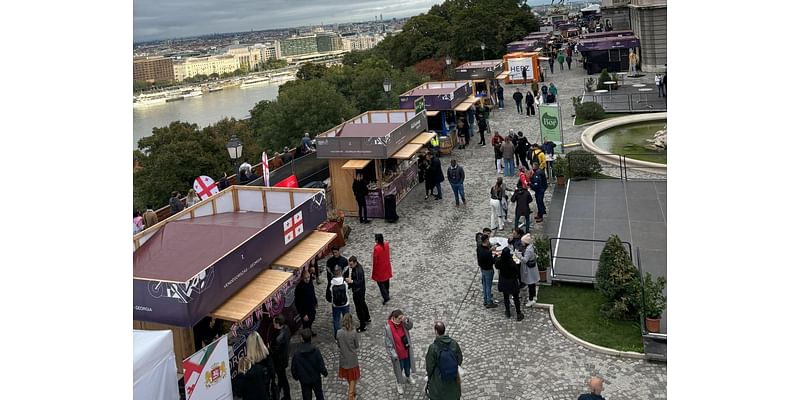 Budapest Wine Festival 2024: A Celebration Of Hungary’s Wine Heritage