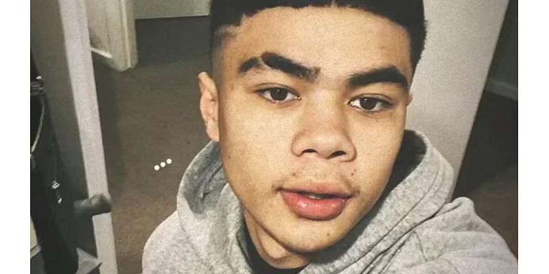 Grieving mum recalls final conversation with her teenage son Levi-Jackson Furnivall before he was killed in horror highway crash