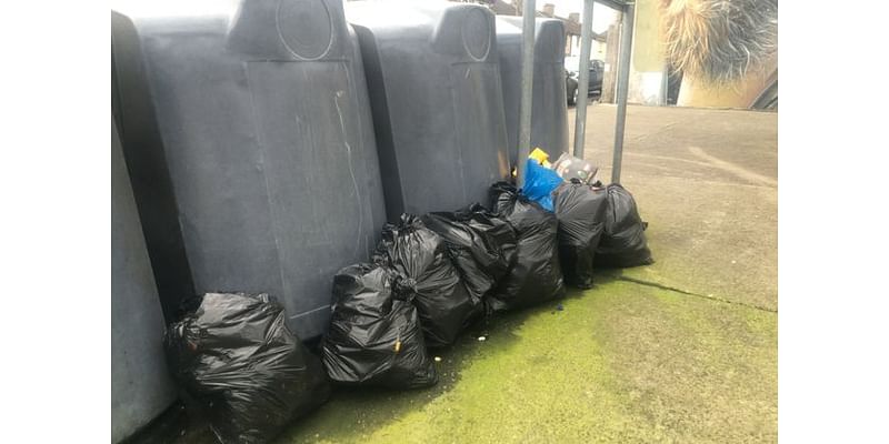 Illegal dumping at Waterford city bring bank results in fine of €1,235