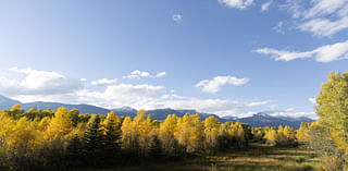 Welcome, fall! Send in those foliage pics