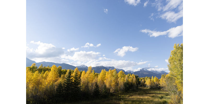 Welcome, fall! Send in those foliage pics