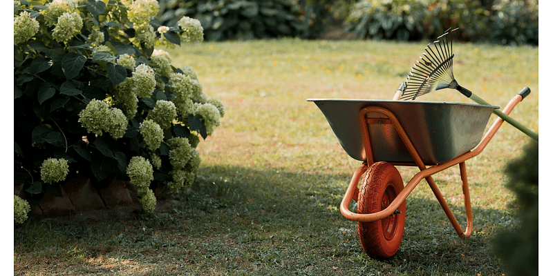 5 Things You Need to Do ASAP for Fall Curb Appeal, According to Thumbtack