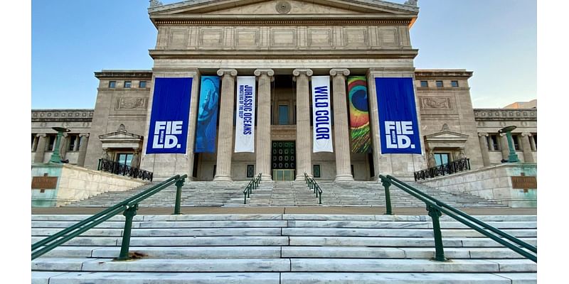 Chicago free museum days 2024: Full list for November, December