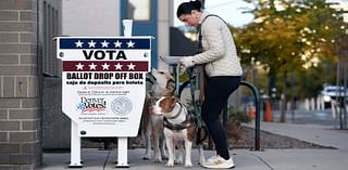 Colorado voters can still return ballots, vote in person before 7 p.m.