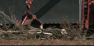 Bulloch storm debris could fill 83 Olympic-sized swimming pools