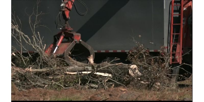 Bulloch storm debris could fill 83 Olympic-sized swimming pools