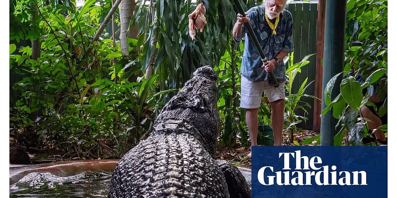 Solving the true age of Cassius, the world’s largest captive crocodile who died last week