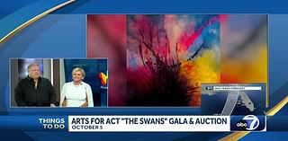 Things to Do: Arts for ACT Gala and Auction 'The Swans'