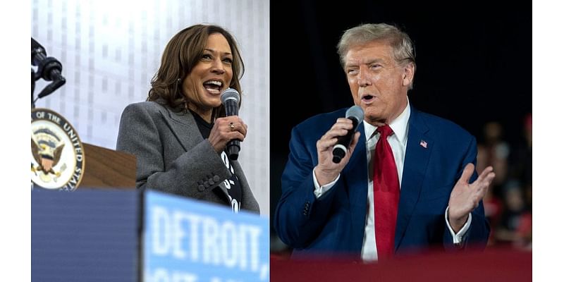 Presidential election polls 2024: Latest surveys on Harris vs. Trump with 3 days to go