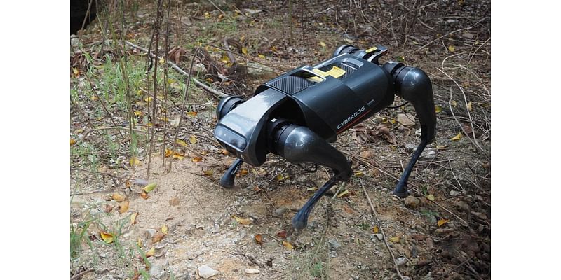 Researchers develop robot dog to combat highly invasive species wreaking havoc across the globe: 'A serious threat'