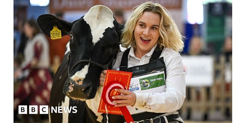 Somerset in Pictures: Dairy shows and dogs needing homes