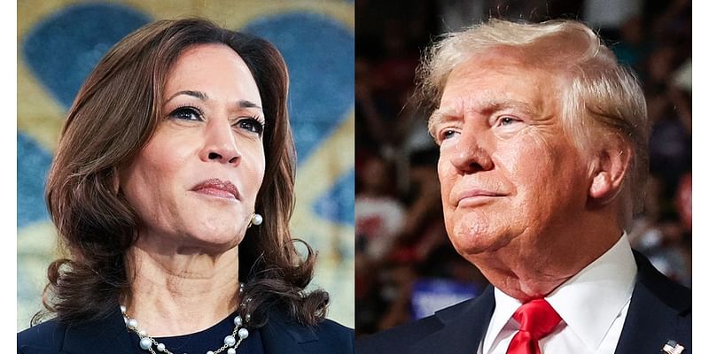 Election 2024 live updates: Harris to rally in Georgia and Wisconsin; Trump to raise money in home state