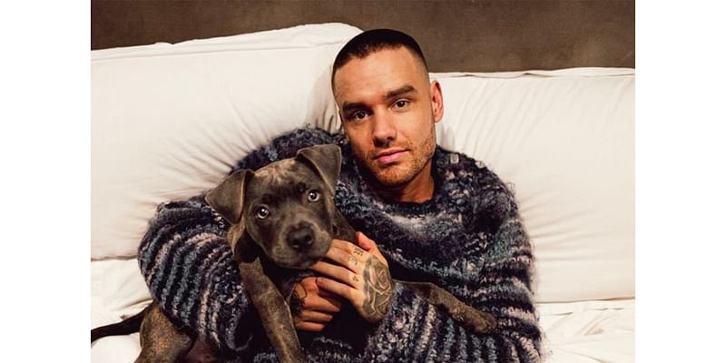 Liam Payne’s post-One Direction timeline: from podcast fall outs to fatherhood