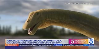 Green dinosaur Gnatalie makes permanent home in L.A.