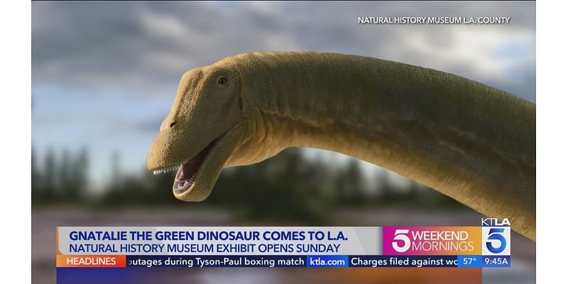 Green dinosaur Gnatalie makes permanent home in L.A.