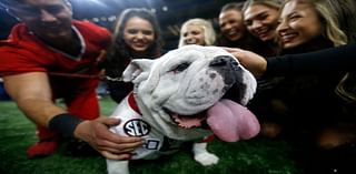 What time, TV channel is Georgia vs Auburn football on today? Free live stream, spread, game odds