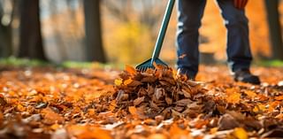 Warmer temps, more rain expected this fall in New England