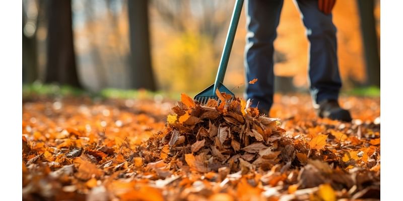 Warmer temps, more rain expected this fall in New England