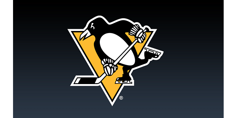 Pittsburgh Penguins to pay tribute to legendary rock band during upcoming home game