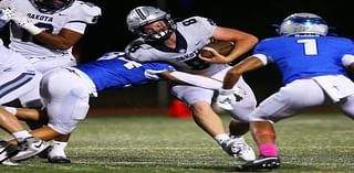 Wise Guy: Playoffs Week 2 predictions for all 6 Macomb County teams