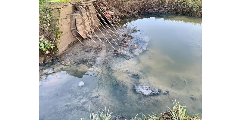 London housing developments flushing raw sewage directly into rivers