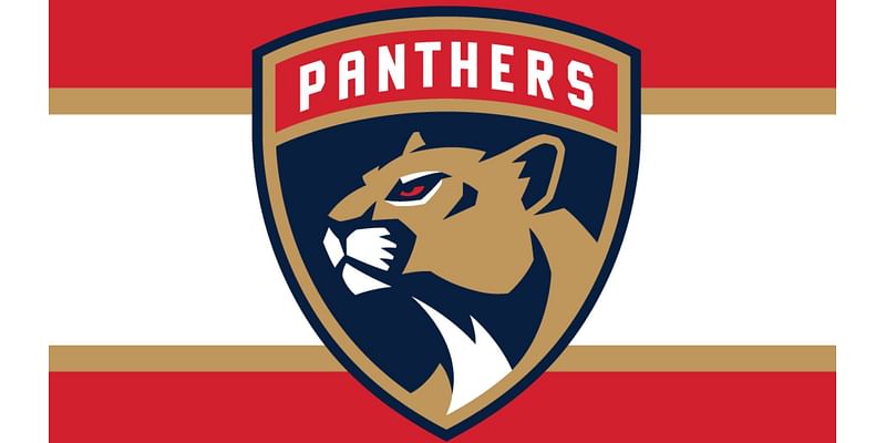 Florida Panthers top Dallas Stars 4-2 and sweep 2-game series in Finland - WSVN 7News