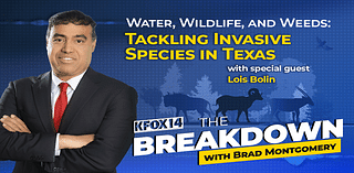 The Breakdown - Water, Wildlife, and Weeds: Tackling Invasive Species in Texas