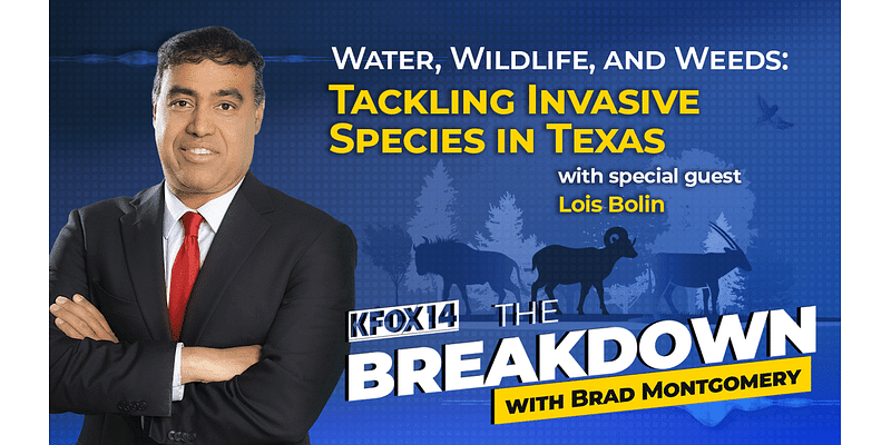 The Breakdown - Water, Wildlife, and Weeds: Tackling Invasive Species in Texas