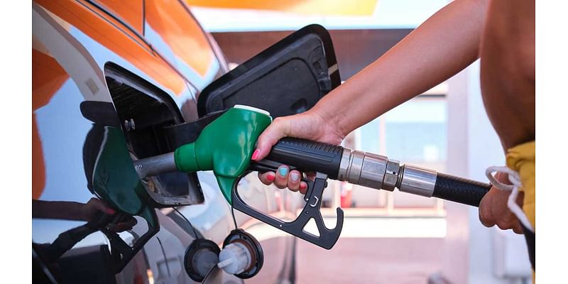 What gas stations still have fuel in Lee County?